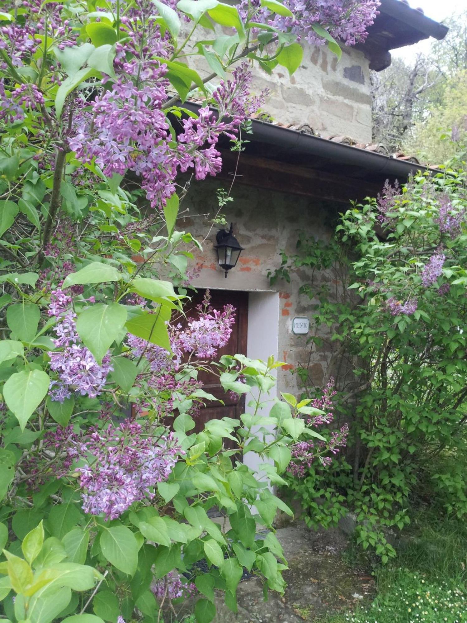 Fattoria Il Praticino - Metato Villa Castelfranco di Sopra ภายนอก รูปภาพ
