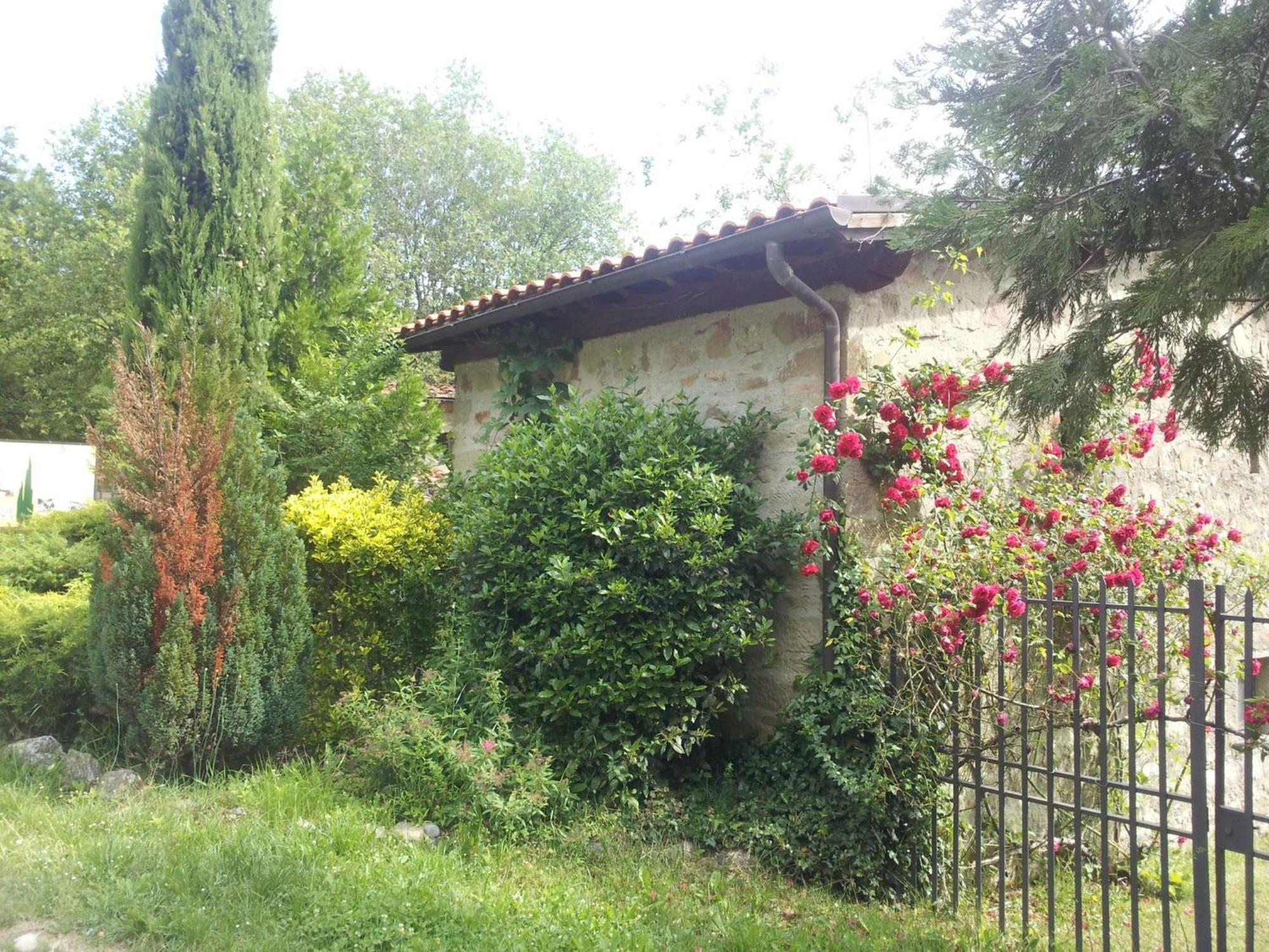 Fattoria Il Praticino - Metato Villa Castelfranco di Sopra ภายนอก รูปภาพ
